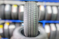Voyager Summer HP 195/65r15 [91]V